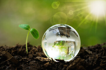 Globe crystal glass on the soil ground with growing tree and sunlight on green background for.Eco...