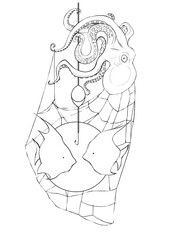 Logo marine concept for seafood restaurant menu design. octopus, fish, a net and a buoy. linear drawing of animals in the composition. children's coloring book. sea ​​creatures black ink drawing	
