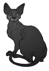 art, background, banner, beautiful, bloom, boho, botanical, botany, bouquet, cactus, card, closeup, colorful, concept, cool, decor, decorative, desert, design, echeveria, element, floral, florist, flo