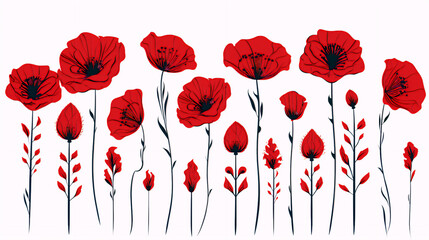 Blooming red poppies flowers on a wide-angle panoramic white background. Generative AI