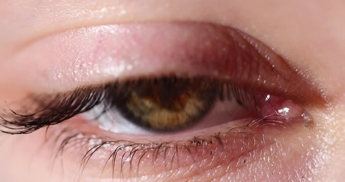 Brown female human eye closeup