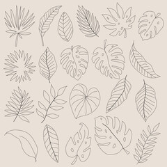 Trees leaf line art design 