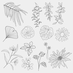 Floral line art design for coloring book