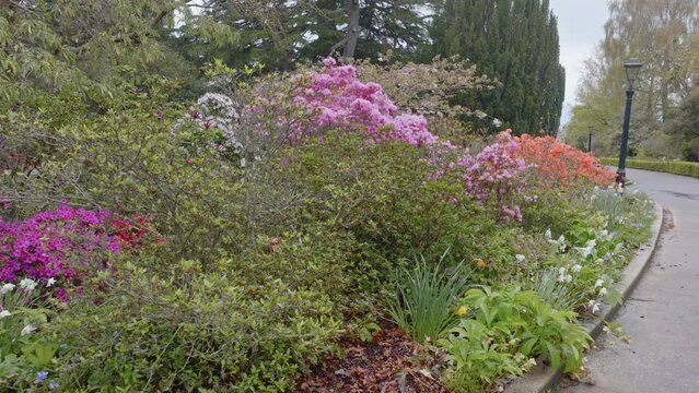 Aerial: flower beds in the Oamaru Public Gardens in the South Island, New Zealand