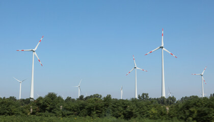 Wind farm with wind turbines for producing renewable green energy