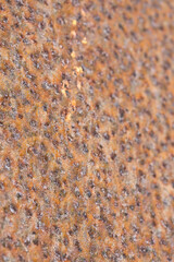 Rusty metal plate used in construction industry - Corten steel background concept with shallow depth of field