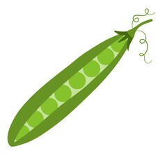 peas isolated on white