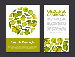 Garcinia Fruit Banner Design with Green Plant Vector Template