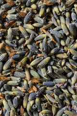 Raw Purple Organic Dry Lavender