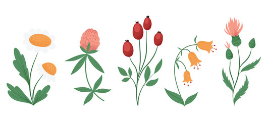 Set with different wildflowers and plants in flat design, hand drawn isolated vector illustration