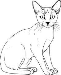 Siamese cat coloring page
