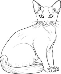 Siamese cat coloring page