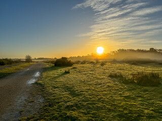 Misty Morning Sunrise at RAF Greenham Common near Newbury Berkshire