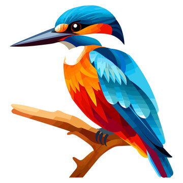 Beautiful kingfisher bird icon. Cute Kingfisher bird cartoon illustration, transparent background