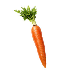 a Carrot, side 3/4 view, in a PNG, in a healthy snack-themed, isolated, and transparent photorealistic illustration. Generative ai