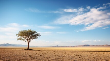 A lone desert tree on the horizon, a symbol of endurance and solitude.