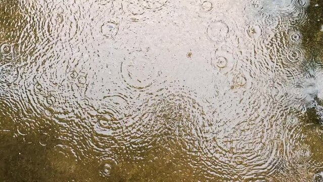 rain drops on the water, puddles on asphalt