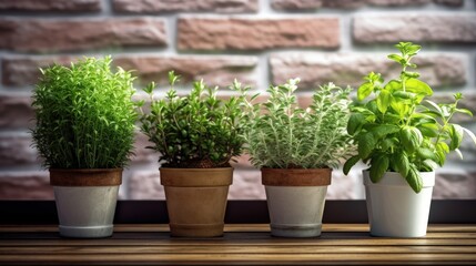 Fototapeta premium Different aromatic potted herbs near window indoors, closeup. Space for text