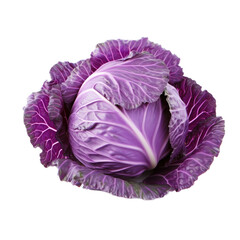 Obraz premium Red cabbage from a top view in an isolated and transparent PNG in a Vegetable-themed, photorealistic illustration. Generative ai