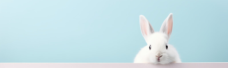 Obraz premium Cute Easter Bunny Pet Rabbit With Copy Space For Easter Background, Isolated White Bunny Background, Pastel Colors, Easter Celebration