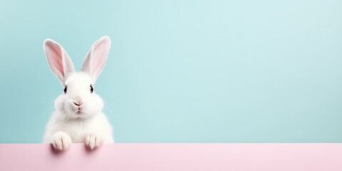 Cute Easter Bunny Pet Rabbit With Copy Space For Easter Background, Isolated White Bunny Background, Pastel Colors, Easter Celebration