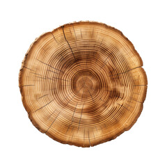 a round slab of wood in a top view,  isolated and transparent PNG in a Woodworking-themed, photorealistic illustration. Generative ai