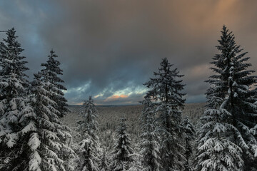 Der Winter herrscht über den Schwarzwald