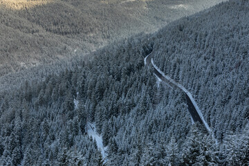 Winter im Schwarzwald