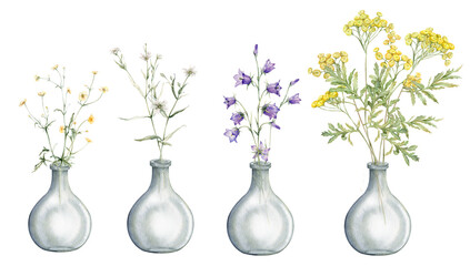 Watercolor botanical illustration on isolate white background. Clipart of meadow and forest flowers in a glass vase. Yellow field flowers - common tansy and buttercup. Bluebell and stellaria holostea
