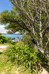 Wellington New Zealand Botanical Gardens