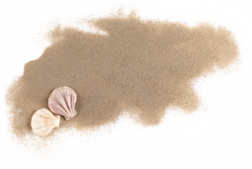 Sea shells in sand pile isolated on white background, top view
