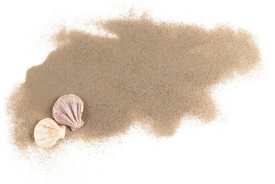 Sea shells in sand pile isolated on white background, top view
