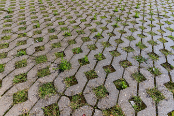 a modern concrete tile that allows plants to grow