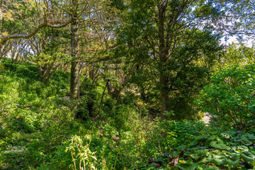 Wellington New Zealand Botanical Gardens