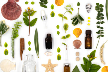 Colorful pattern of leaves, shells, flowers, medicinal herbs and bottles with essential oils for spa treatments and body care on white background, top view