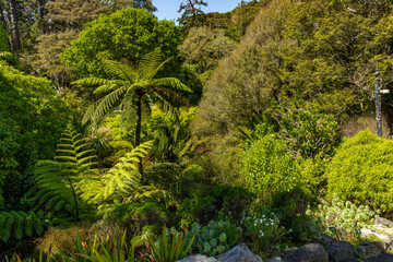 Wellington New Zealand Botanical Gardens