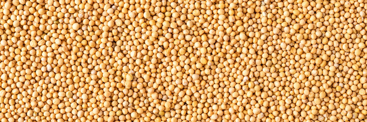 White mustard seeds texture. Background with copyspace. Close up. Top view