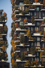 MILAN, ITALY- NOVEMBER 21, 2023 - "Bosco Verticale", vertical forest in autumn time, design apartments and buildings in the district "Isola" of the city of Milan, Italy