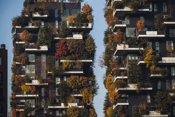 Stickers pour porte Milan MILAN, ITALY- NOVEMBER 21, 2023 - "Bosco Verticale", vertical forest in autumn time, design apartments and buildings in the district "Isola" of the city of Milan, Italy