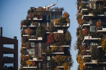 Deurstickers MILAN, ITALY- NOVEMBER 21, 2023 - "Bosco Verticale", vertical forest in autumn time, design apartments and buildings in the district "Isola" of the city of Milan, Italy © sabino.parente