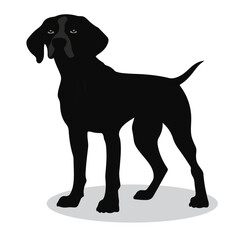 English Pointer silhouettes and icons. black flat color simple elegant English Pointer animal vector and illustration.