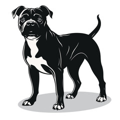 Staffordshire Bull Terrier silhouettes and icons. black flat color simple elegant Staffordshire Bull Terrier animal vector and illustration. - obrazy, fototapety, plakaty