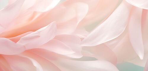Extreme close-up of delicate flower petals, subtle minty greens and pale blush pinks, in the style...
