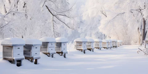 Fotobehang beehives covered with snow. ai generative © Oleksandr