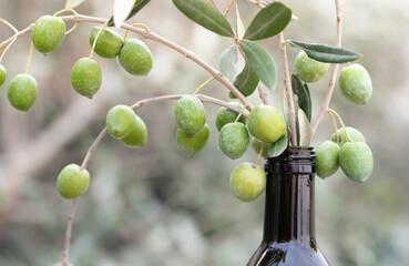 There are twigs of green olives in a dark bottle. The background is light with delicate lights.