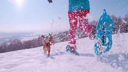 CLOSE UP, LOW ANGLE VIEW: Joyful run of a lady and her dog above snowy valley