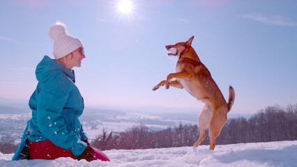 LENS FLARE, CLOSE UP: Playful dog catches snowball thrown by its happy owner