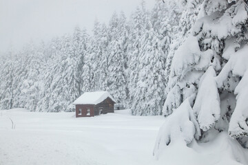 Mountain House in the Winter Season Photo, Golcuk Lake National Park Bolu, Turkiye (Turkey)