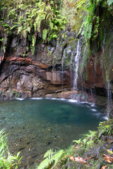 waterfall in the forest