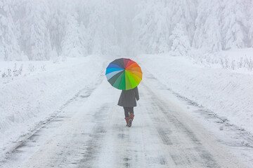 Girl Walking in the Snow with her Colorful Umbrella Photo, Golcuk National Park Bolu, Turkiye...